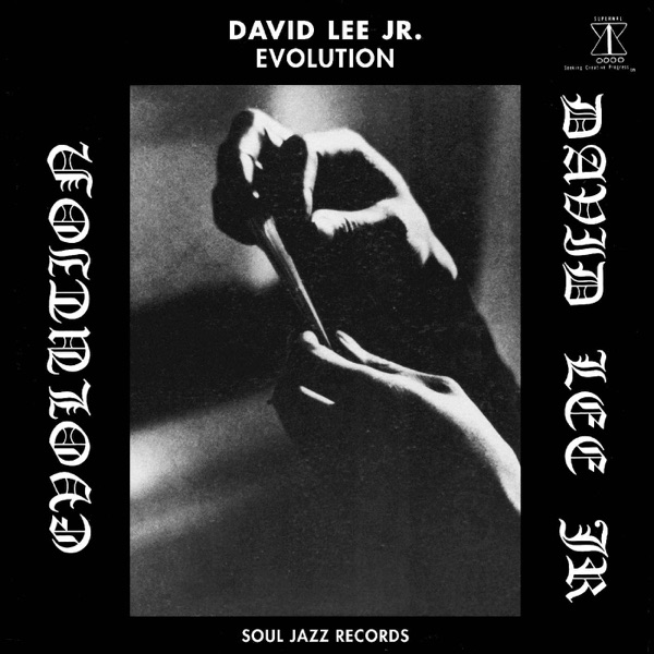 A Journey Through Sonic Frontiers: The Legacy of David Lee Jr.'s "Evolution"