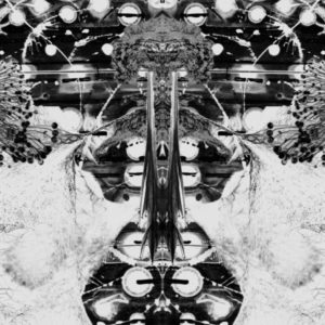 Buy Nois D'Avui by Almax Und Forte on vinyl