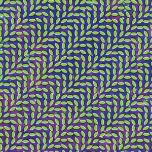 Buy Merriweather Post Pavilion by Animal Collective on vinyl