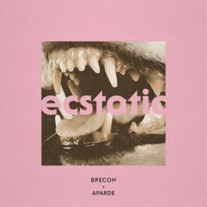 Brecon's Collaborative EP "Calyx" Unveils a Sonic Masterpiece