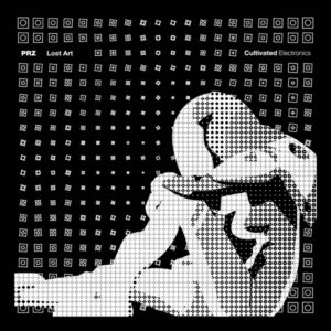 Buy Lost Art by PRZ on vinyl