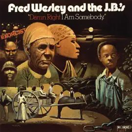 Buy Damn Right I Am Somebody by Fred Wesley and the J.B.'s on vinyl