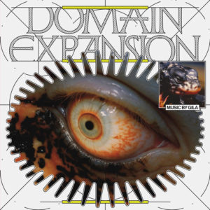 Buy Domain Expansion by GILA on vinyl