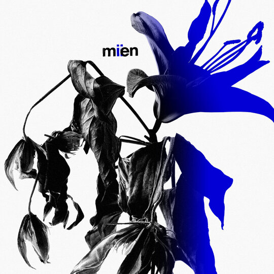 MIEN Unveils 'MIIEN': A Visionary Psychedelic Soundscape