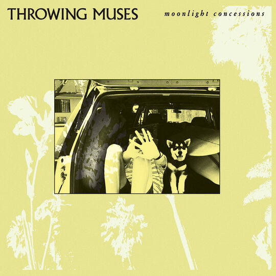 Throwing Muses: A Spectacular Comeback with Moonlight Concessions 2025