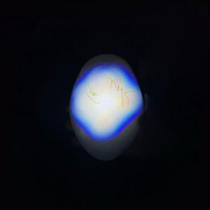 Buy Morpho by Donato Dozzy & Sabla on vinyl
