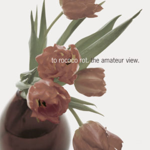 Buy The Amateur View by To Rococo Rot on vinyl
