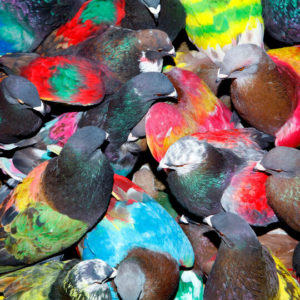 Buy SickElixir by Blawan on vinyl