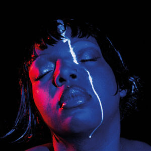 Buy hooke’s law by KeiyaA on vinyl