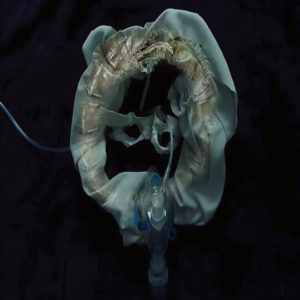 Buy InitiatriX by Ship Sket on vinyl