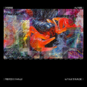 Buy CHROMA 000 by Bicep on vinyl