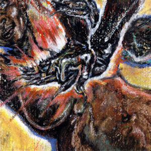 Buy Faith In The Unknown by Shungu on vinyl