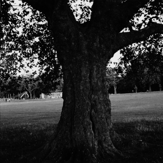 A Decade of Transformation: Archy Marshall & King Krule's Instrumental Journey in "A New Place 2 Drown"