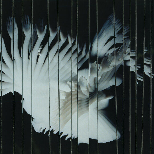 Spellbinding Adventures of SCALER's Album Endlessly