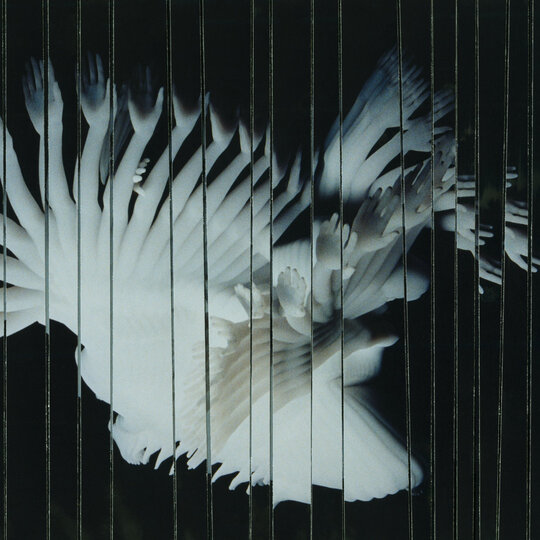 Spellbinding Adventures of SCALER's Album Endlessly