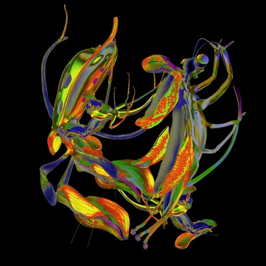 Buy Shō by DJ Nobu on vinyl