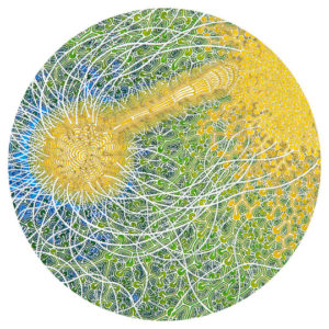 Buy Feeling Is Structure by Max Cooper on vinyl