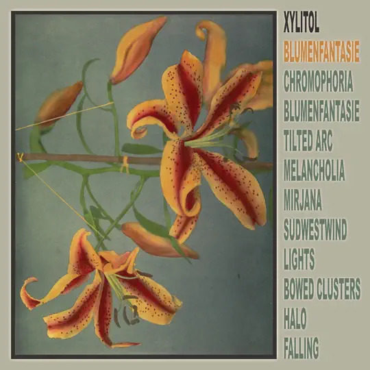 Xylitol explores electronic soundscapes on Blumenfantasie, out 2026 on Planet Mu vinyl