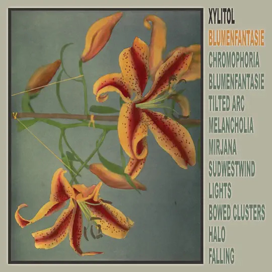 Xylitol explores electronic soundscapes on Blumenfantasie, out 2026 on Planet Mu vinyl