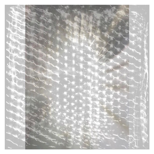BAE BAE's gauze EP on Planet Mu blends electronic beats with Palestine conflict recordings