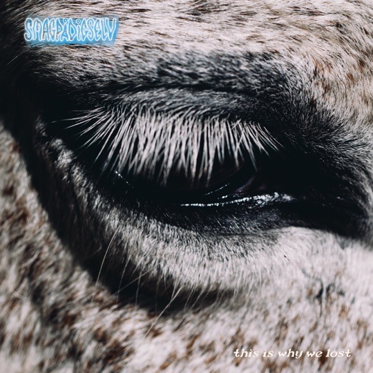 Buy This Is Why We Lost by Smag På Dig Selv on vinyl